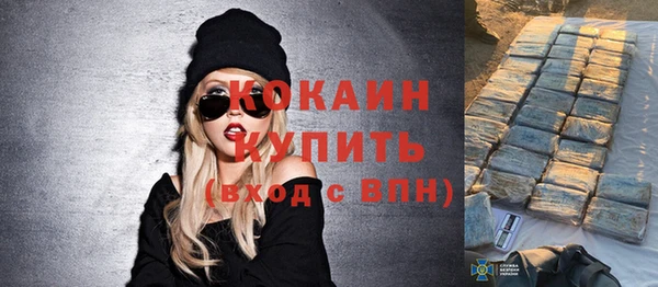 тгк Абаза