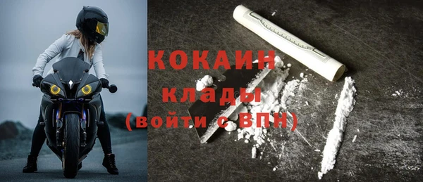 индика Абинск
