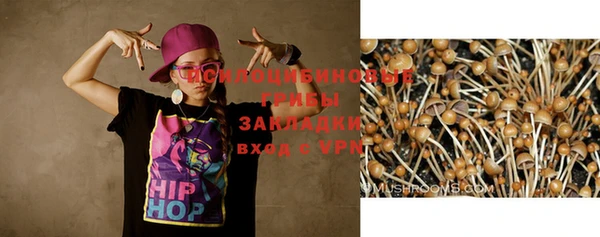 таблы Алексеевка