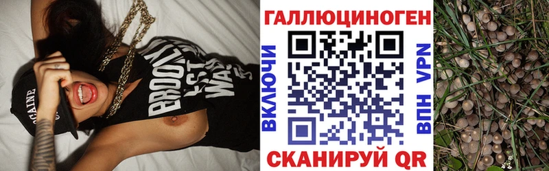 Псилоцибиновые грибы Cubensis Карабулак