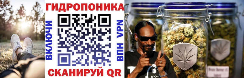 Конопля индика Карабулак