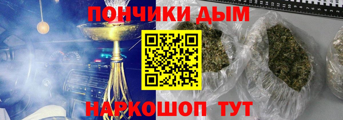 Конопля индика Карабулак